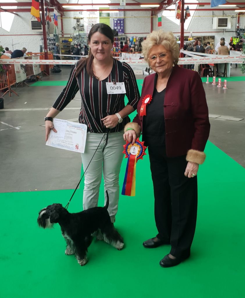 Du Haut De Mordreuc - Exposition Canine Internationale MOUSCRON 